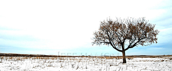 Waiting for Spring