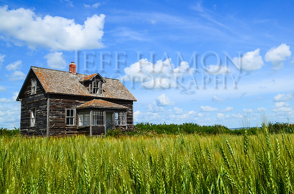 Summer Sky House