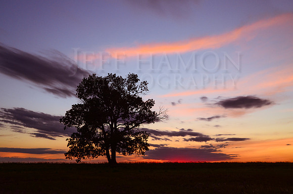 Sunset Regina Aug 1, 2013