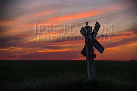 Bird Railway Crossing Sunset - Summer Solstice 2016