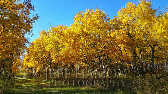Autumn Butte