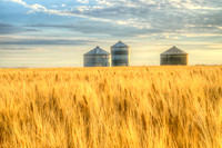 Fall Morning Grain Bins