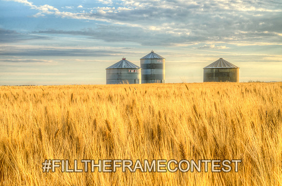 Fall Morning Grain Bins