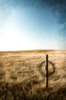 Ring of Wire