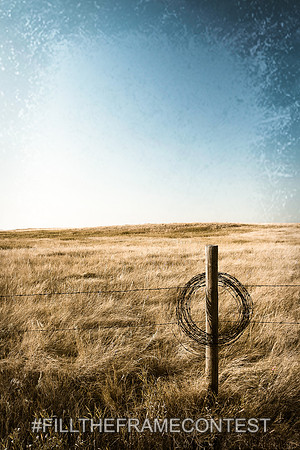 Ring of Wire