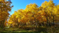 Autumn Butte
